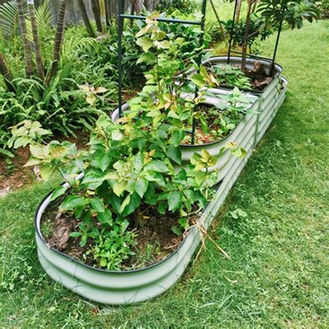 vegega garden bed